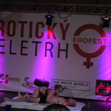 sexualni-masaz-eroticky-festival-praha-2015