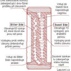 double-hole-vnitrni-struktura