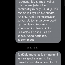 bronzovy-fantasy-had-messenger