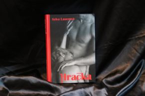 TIP na erotickou knihu – Hračka od Sylvy Lauerové